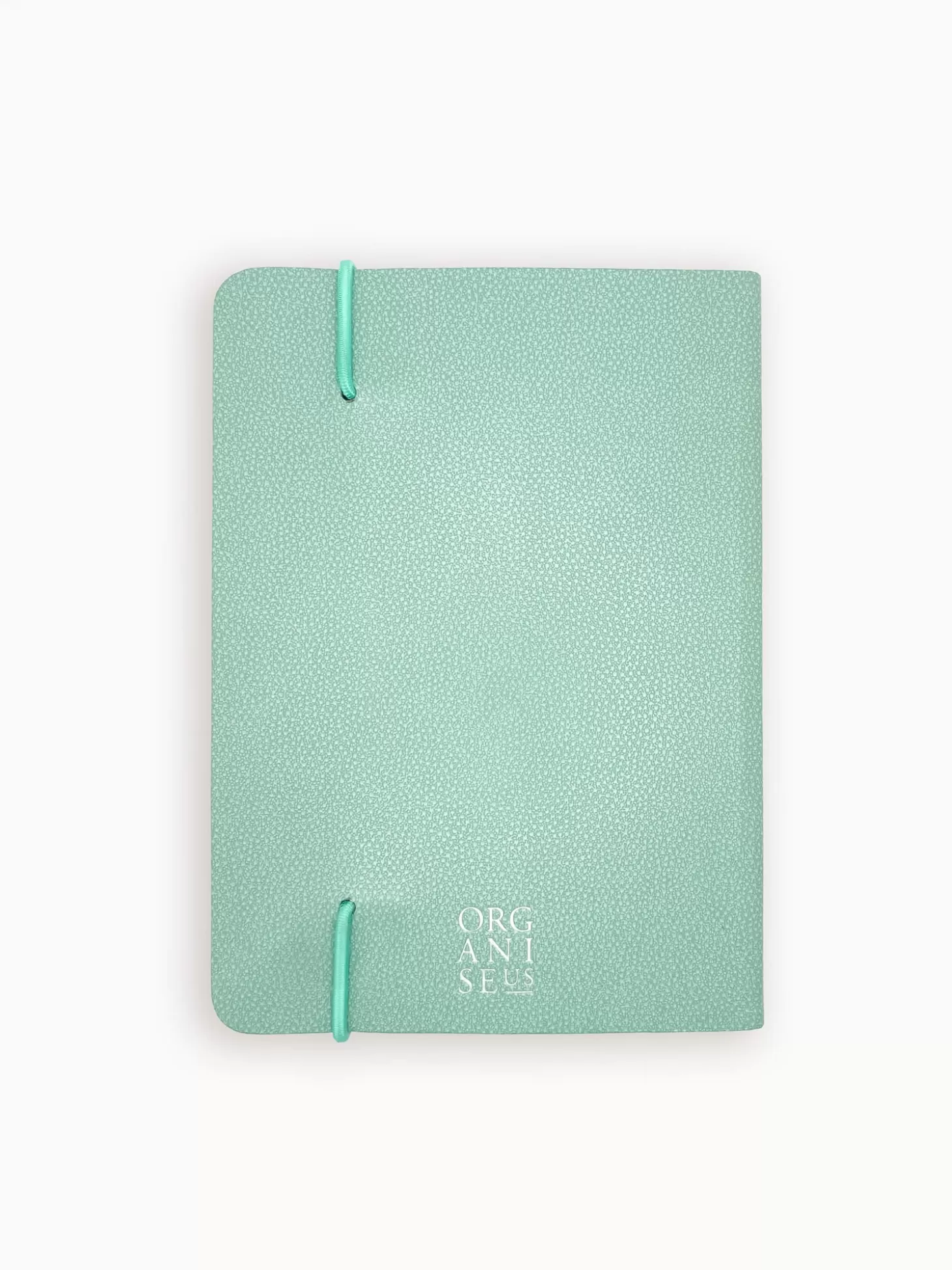 ORGANISE-US WELLNESS JOURNAL MINT GREEN Cheap